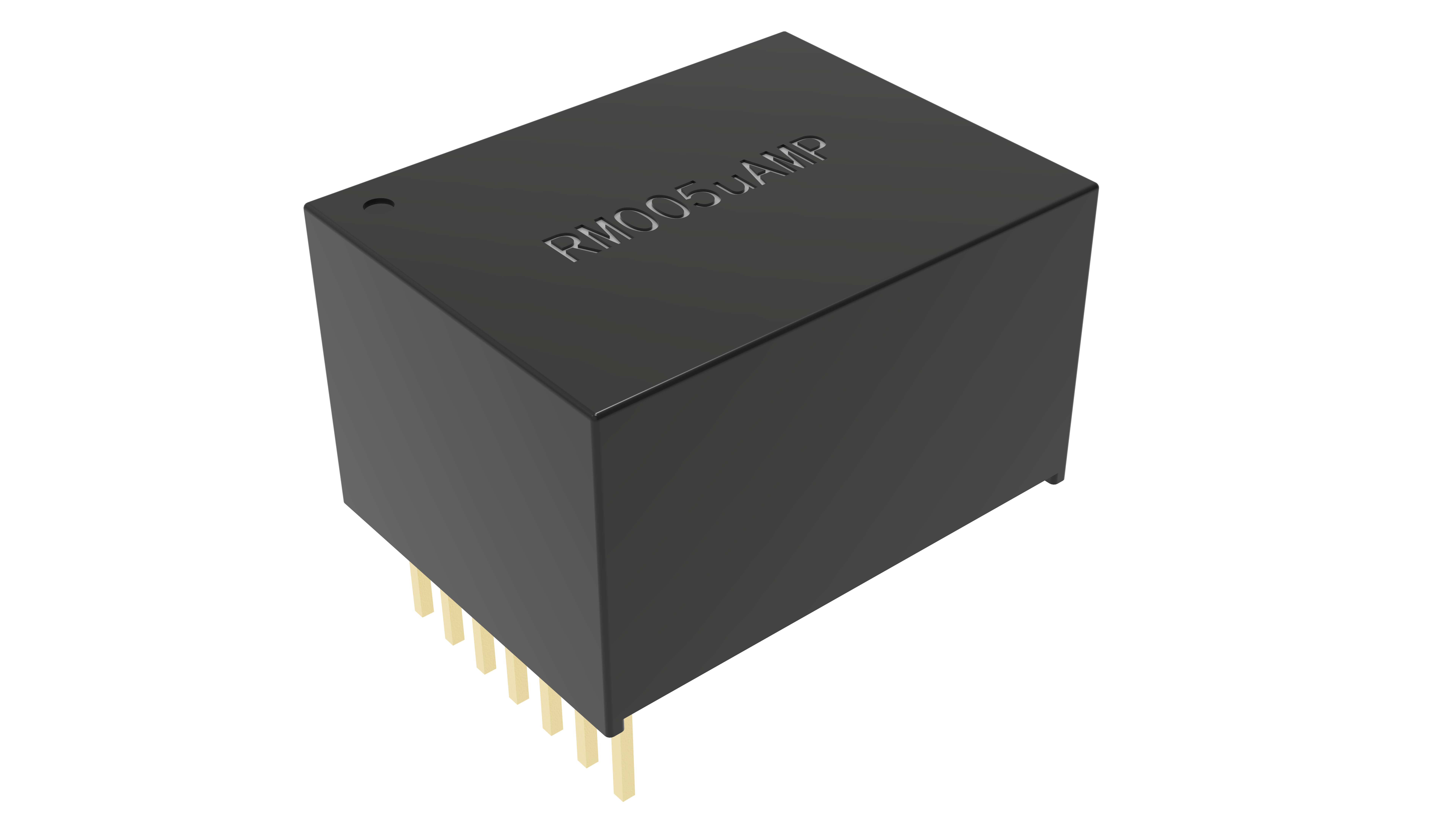 RM005uAMP 